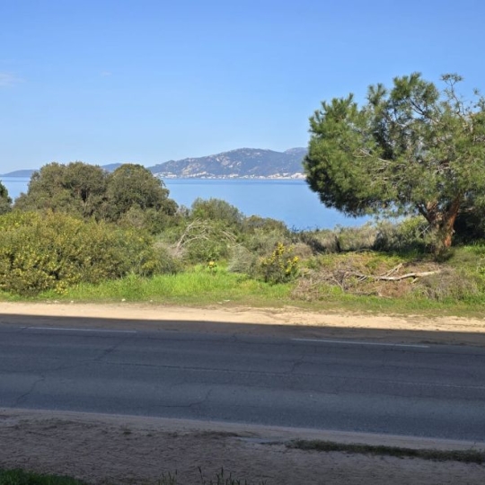 2A IMMOBILIER : Appartement | PIETROSELLA (20166) | 42.00m2 | 720 € 