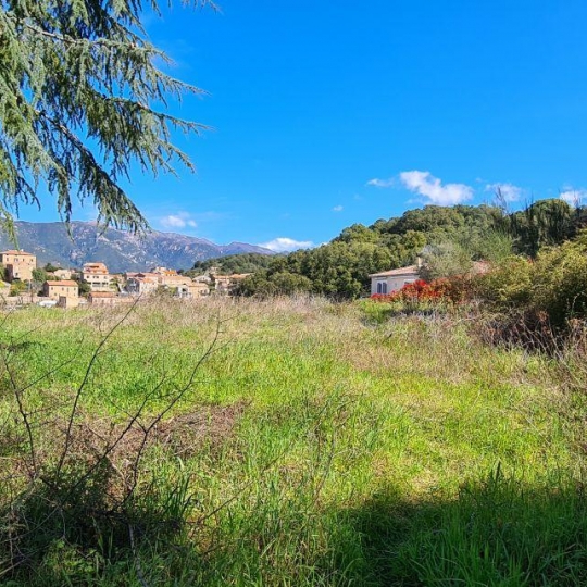  2A IMMOBILIER : Terrain | CAURO (20117) | 2 340 m2 | 205 000 € 