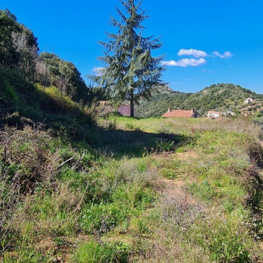  2A IMMOBILIER : Ground | CAURO (20117) | 2 340 m2 | 205 000 € 