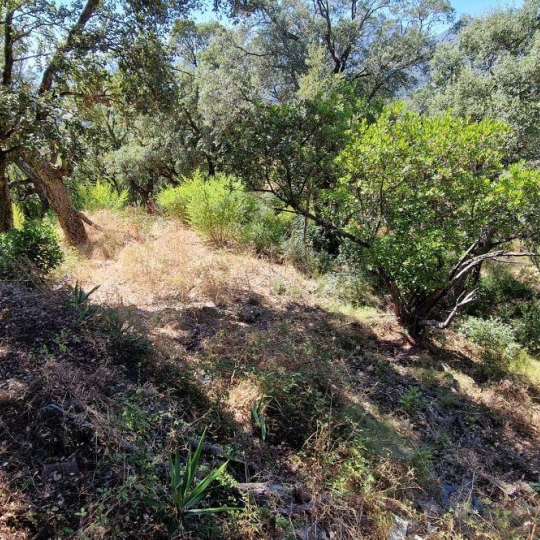 2A IMMOBILIER : Terrain | PERI (20167) | 1271.00m2 | 180 000 € 