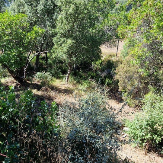  2A IMMOBILIER : Terrain | PERI (20167) | 1 271 m2 | 180 000 € 