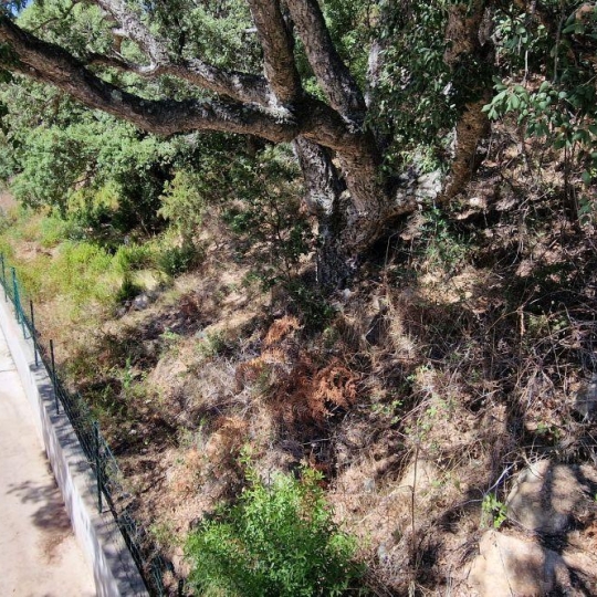  2A IMMOBILIER : Terrain | PERI (20167) | 1 271 m2 | 180 000 € 