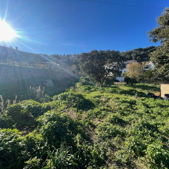  2A IMMOBILIER : Terrain | SANTA-REPARATA-DI-BALAGNA (20220) | 0 m2 | 235 000 € 