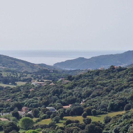  2A IMMOBILIER : Maison / Villa | ALATA (20167) | 250 m2 | 1 100 000 € 
