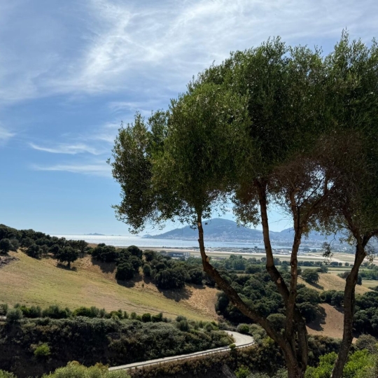 2A IMMOBILIER : Appartement | BASTELICACCIA (20129) | 85.00m2 | 345 000 € 