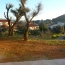  2A IMMOBILIER : Appartement | AFA (20167) | 69 m2 | 1 200 € 