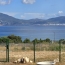  2A IMMOBILIER : Appartement | PIETROSELLA (20166) | 45 m2 | 385 000 € 