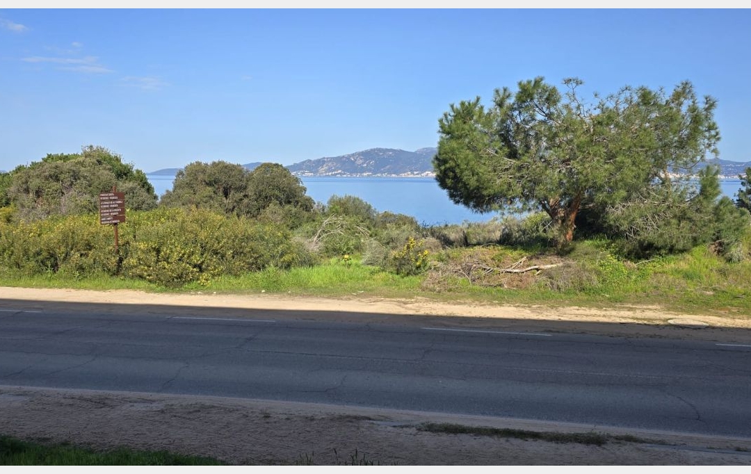 2A IMMOBILIER : Appartement | PIETROSELLA (20166) | 42 m2 | 720 € 