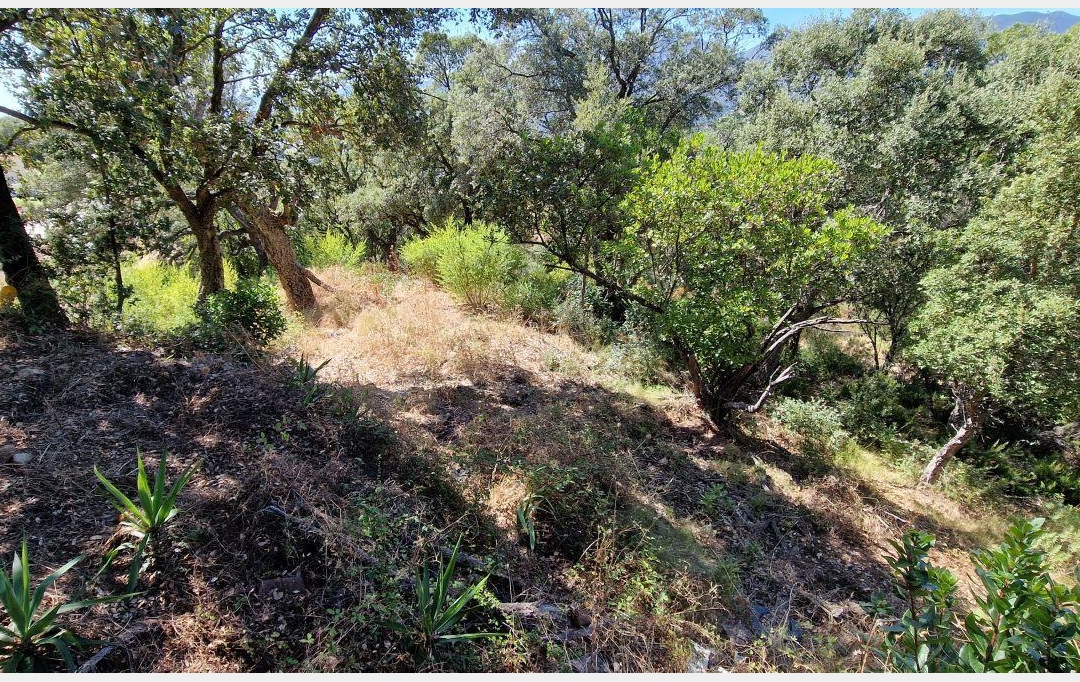 2A IMMOBILIER : Terrain | PERI (20167) | 1 271 m2 | 180 000 € 