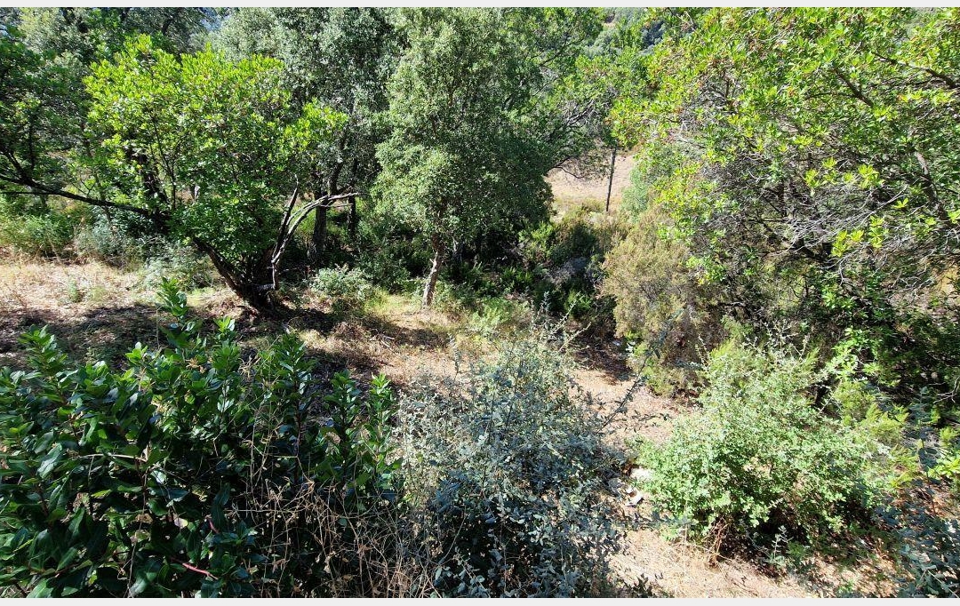 2A IMMOBILIER : Terrain | PERI (20167) | 1 271 m2 | 180 000 € 