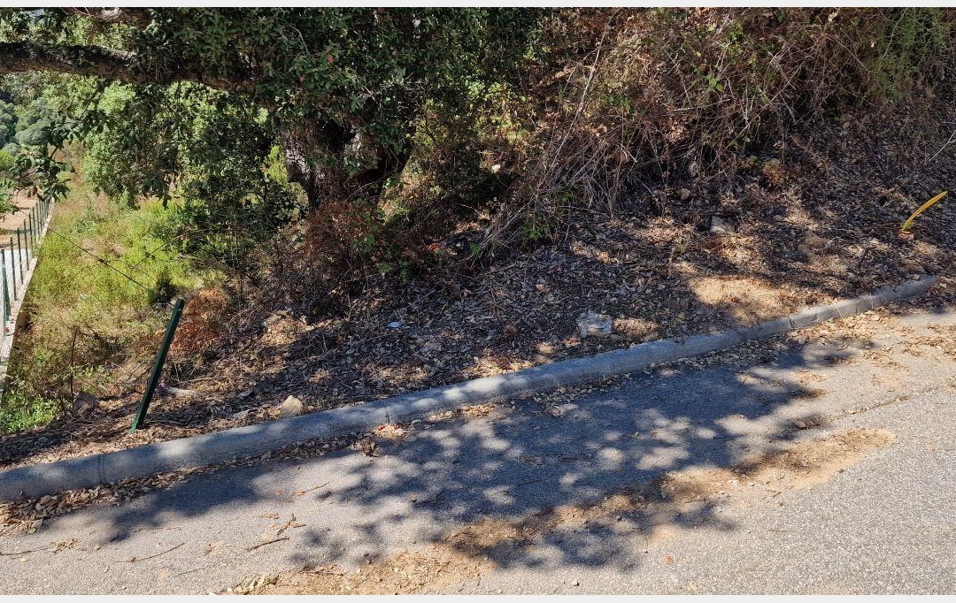 2A IMMOBILIER : Terrain | PERI (20167) | 1 271 m2 | 180 000 € 