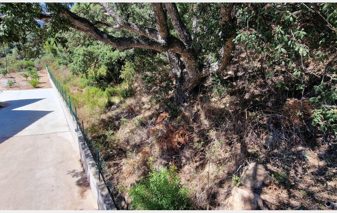 2A IMMOBILIER : Terrain | PERI (20167) | 1 271 m2 | 180 000 € 