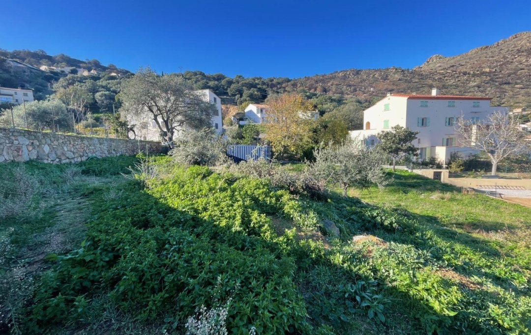 2A IMMOBILIER : Terrain | SANTA-REPARATA-DI-BALAGNA (20220) | 0 m2 | 235 000 € 