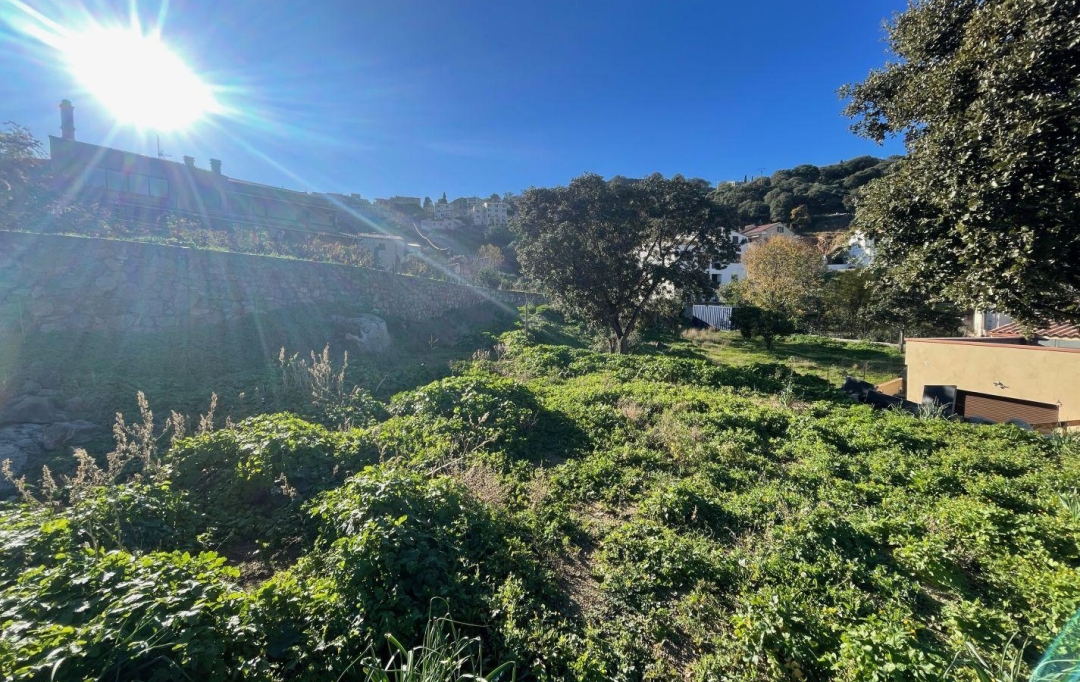2A IMMOBILIER : Terrain | SANTA-REPARATA-DI-BALAGNA (20220) | 0 m2 | 235 000 € 