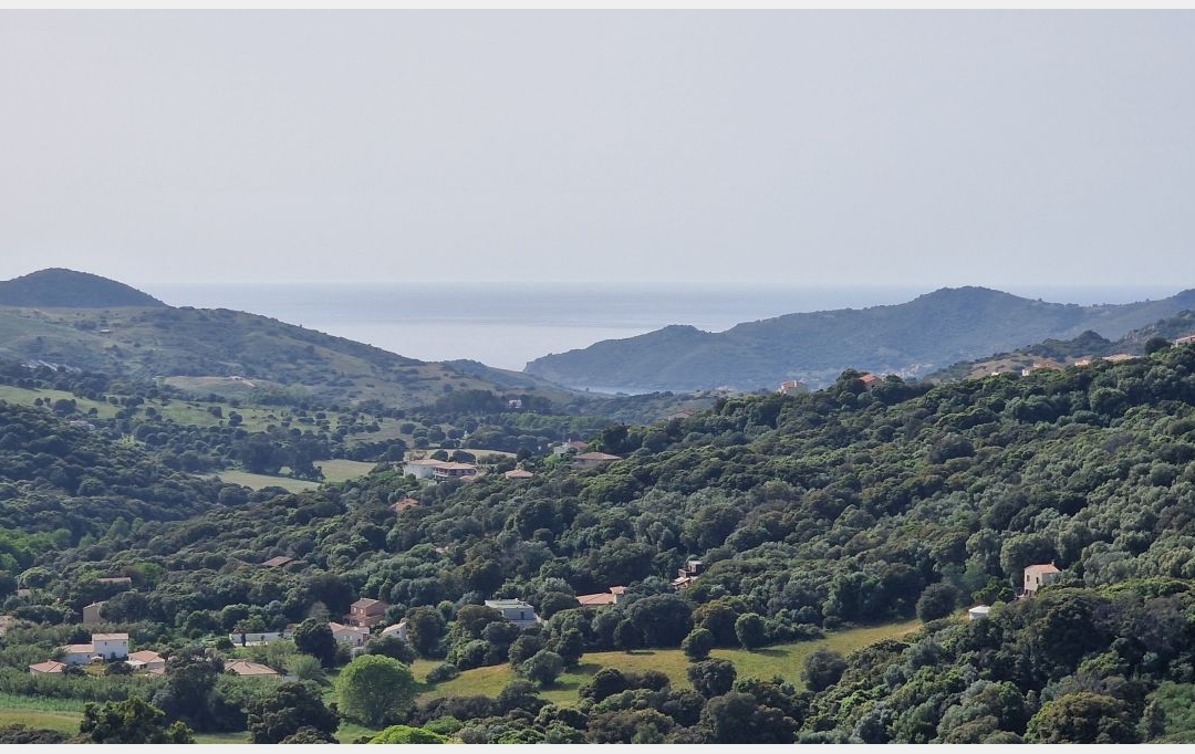 2A IMMOBILIER : Maison / Villa | ALATA (20167) | 250 m2 | 1 100 000 € 