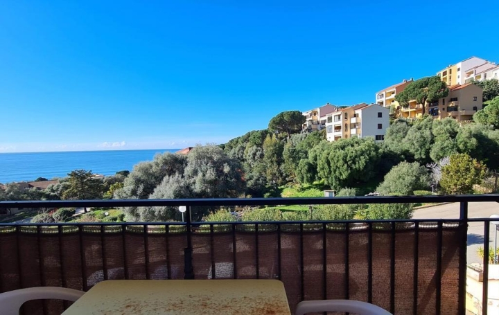  2A IMMOBILIER Appartement | AJACCIO (20090) | 21 m2 | 530 € 