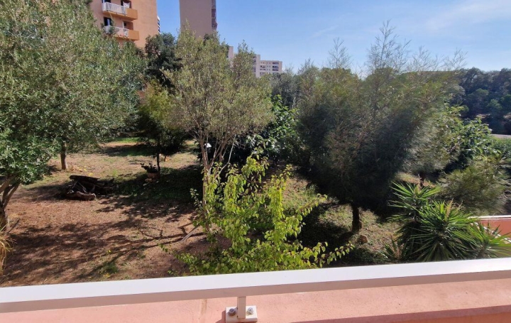  2A IMMOBILIER Appartement | AJACCIO (20090) | 81 m2 | 1 190 € 