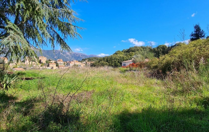 2A IMMOBILIER : Terrain | CAURO (20117) | 2 340 m2 | 205 000 € 