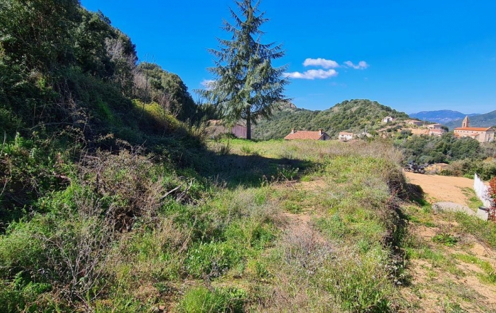 2A IMMOBILIER : Terrain | CAURO (20117) | 2 340 m2 | 205 000 € 