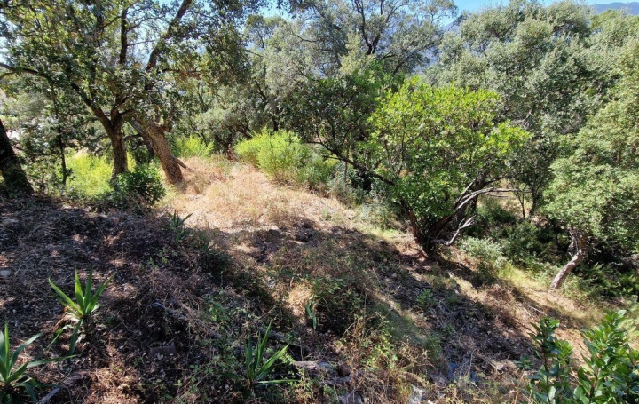  2A IMMOBILIER Terrain | PERI (20167) | 1 271 m2 | 180 000 € 
